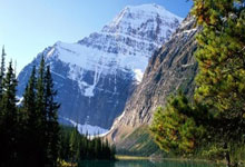 天涯论坛里的鼻咽癌话题：大家聊聊这个健康问题，看看网友们怎么说！